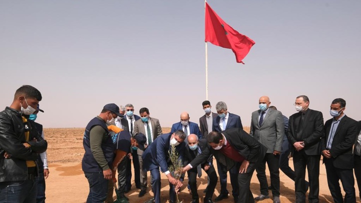 Oriental : Plusieurs projets de développement agricole et forestier inaugurés