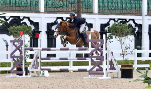 Concours officiel de saut d'obstacles: El Ghali Boukaa remporte le Grand Prix SM le Roi Mohammed VI