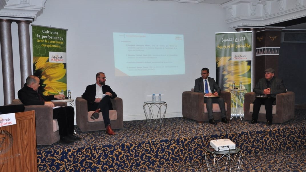 Meknès / Maghreb Oléagineux : Colza et Tournesol, deux cultures stratégiques en plein essor