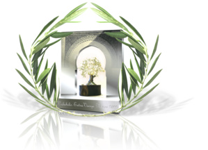 Meknès / Trophée Premium "Volubilis Extra-Vierge Maroc 2022" : Potentiel qualitatif fort intéressant pour les marchés européen et américain