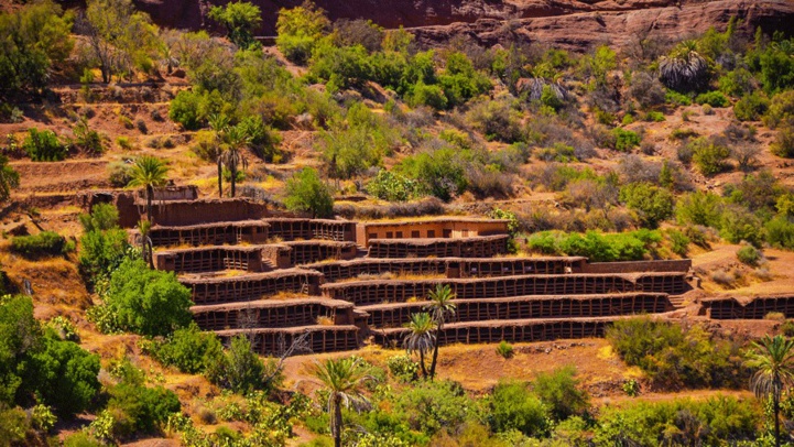 Agadir / Inzerki : Le plus grand et ancien rucher au monde, déserté !