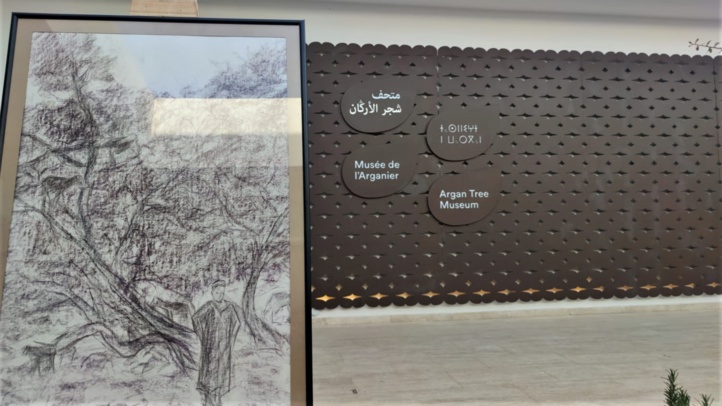 Art'gan Days : le premier musée de l’Arganier au Maroc ouvre ses portes (images)