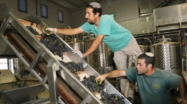 Palestine-Canada / ACIA : les vins fabriqués en Cisjordanie ne sont pas d’Israël