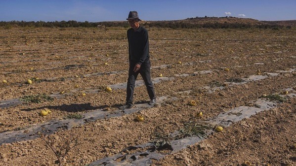 Conjoncture : Inflation, sécheresse et recul de la croissance... qui paiera le prix de la crise ?