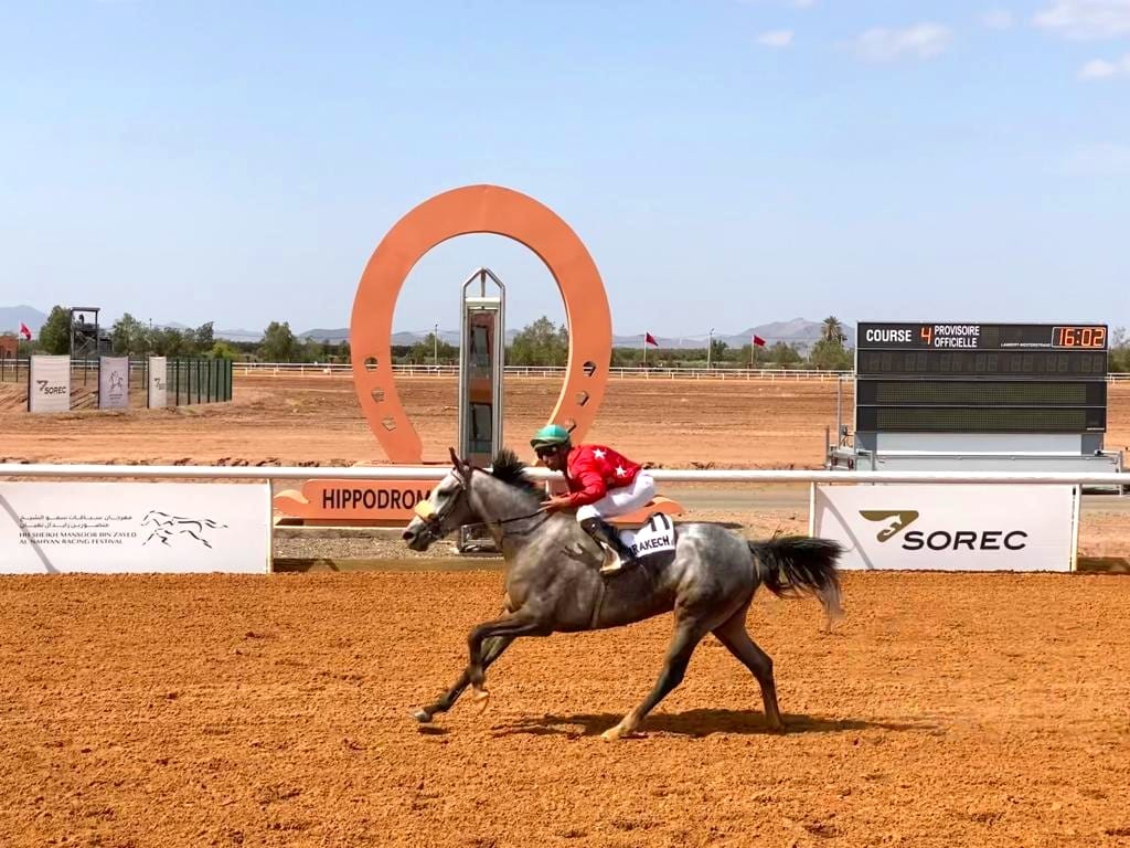 Courses de chevaux Pur-sang Arabe :  Clôture en apothéose du Festival de Son Altesse Sheikh Mansoor Bin Zayed Al Nahyan