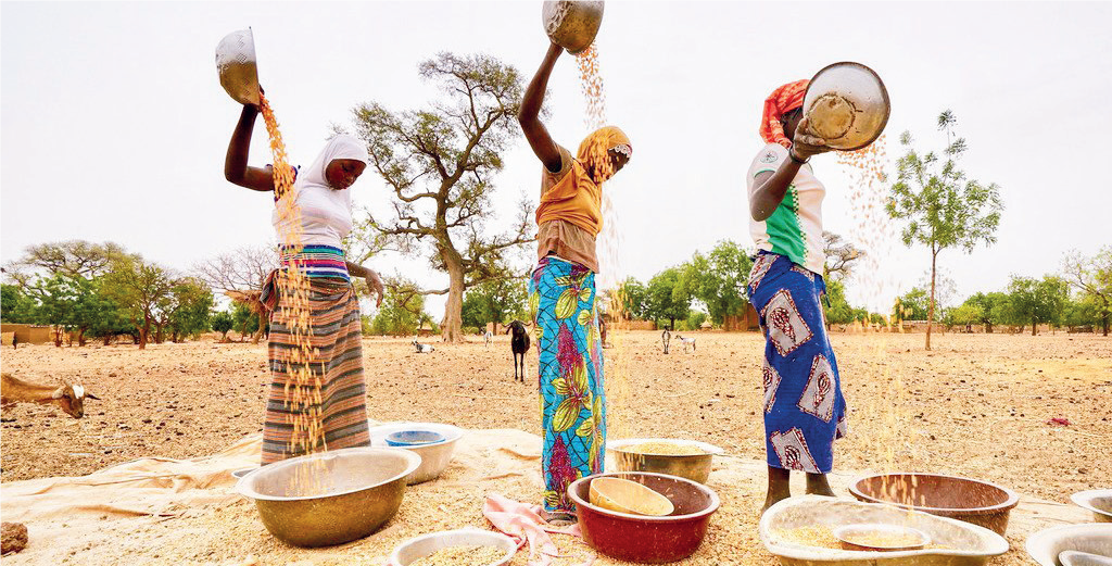 Crise Russie-Ukraine : Soutenir la production locale pour en finir avec la dépendance alimentaire