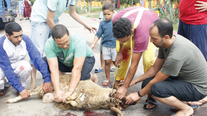 Aïd Al Adha : Rituels, traditions et préparatifs