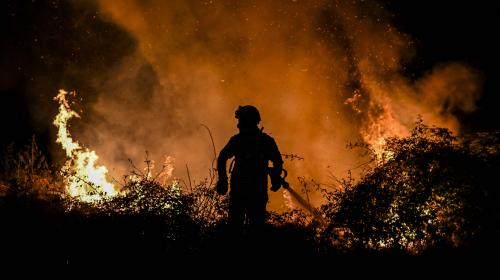 Tétouan :  les incendies de Bni Idder maîtrisés, 500 hectares ravagés
