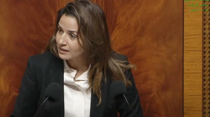 Coupures d’électricité dans le Sud : Benali s'explique à la première chambre