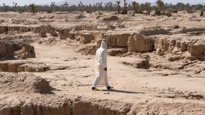 Sécheresse : La sécurité alimentaire au Maroc sous la loupe de la FAO