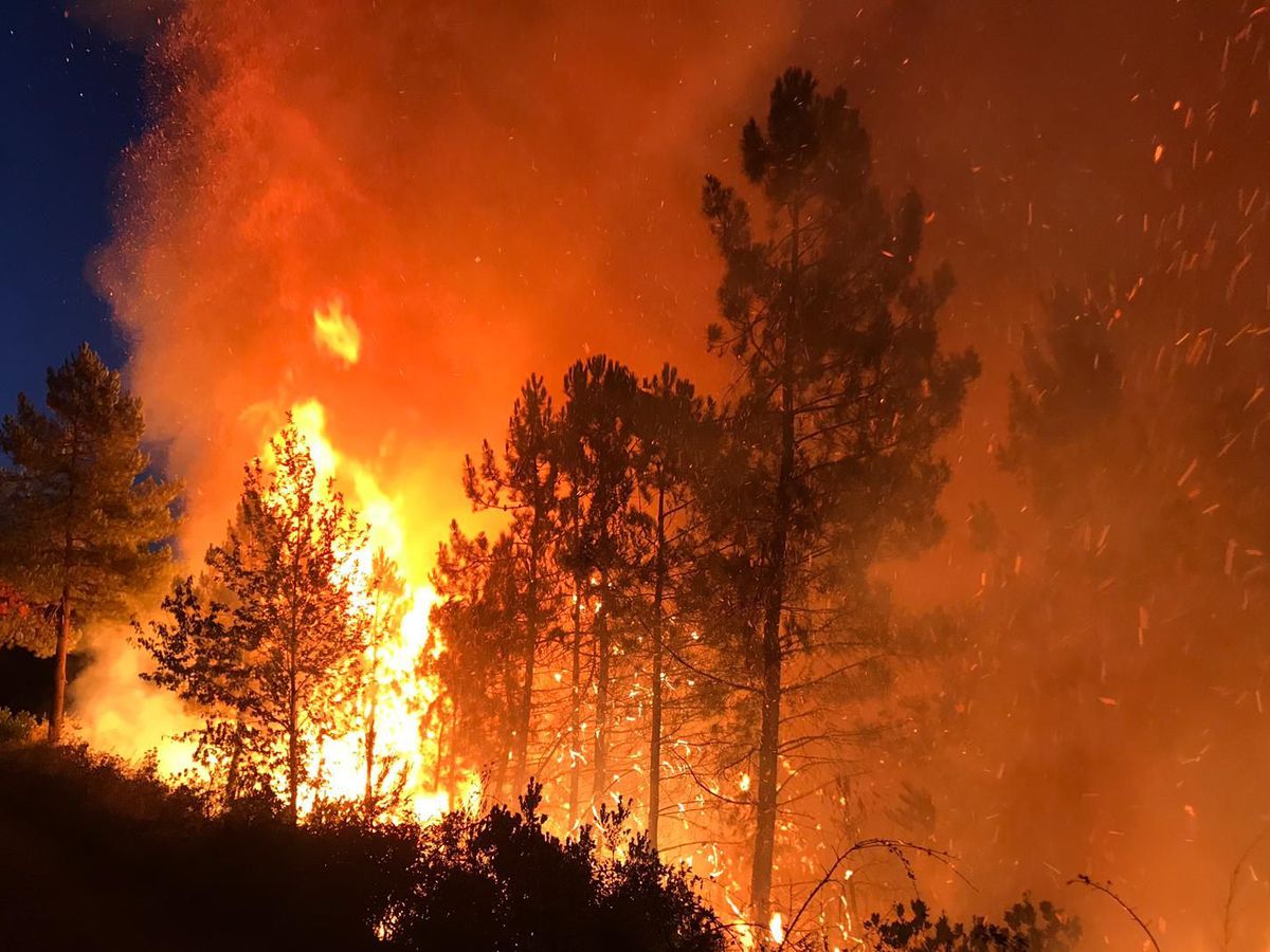 Incendie à « Kediyat-Al-Tayfour » : Le Parquet de Tétouan ouvre une enquête judiciaire