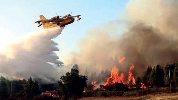 Feux de forêts : Nouveaux incendies au Nord, les Canadairs à la rescousse