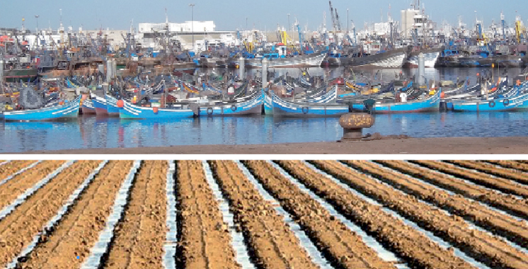 Gestion des pêcheries: Le Maroc, bon élève selon la FAO !