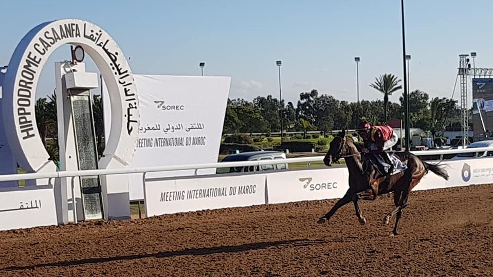 Gamma by SOREC : Une solution 100% marocaine de gestion des paris hippiques