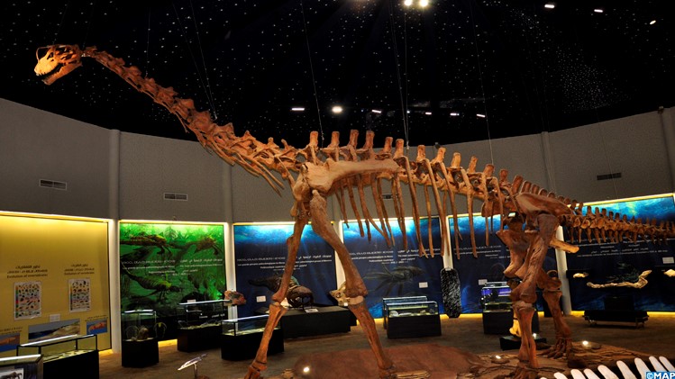 Azilal / Musée du géoparc M'Goun : Haut lieu de l’Histoire de l’humanité