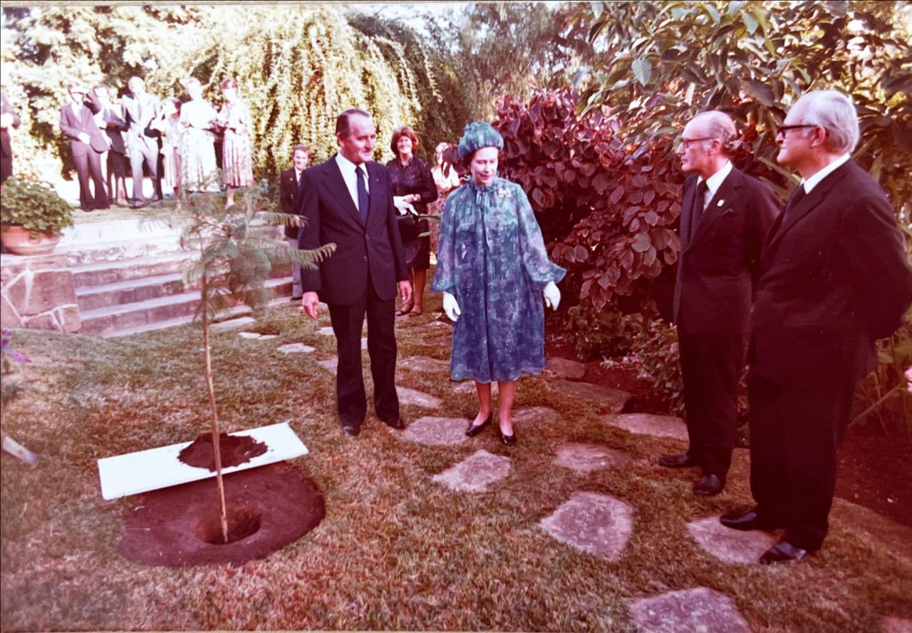 Jacaranda, l'arbre planté par la Reine Elisabeth lors de sa visite historique au Maroc