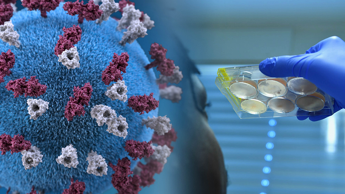 Covid-19: 17 nouveaux cas, plus de 6,81 millions de personnes ont reçu trois doses du vaccin