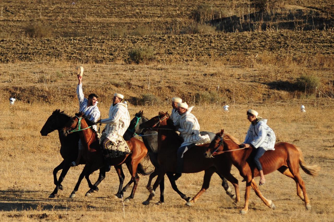 Patrimoine équestre ancestral : Ouverture, à Larache, du 10ème Festival équestre international de Mata