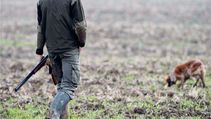 Sécheresse et incendies de forêt : Faut-il annuler la saison de chasse 2022-2023 ?