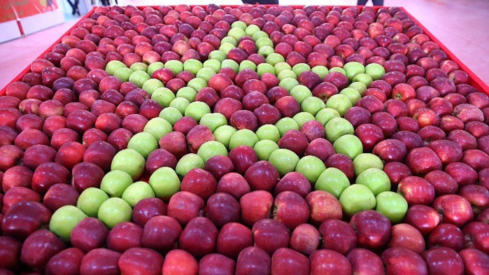 Midelt : La pomme en fête