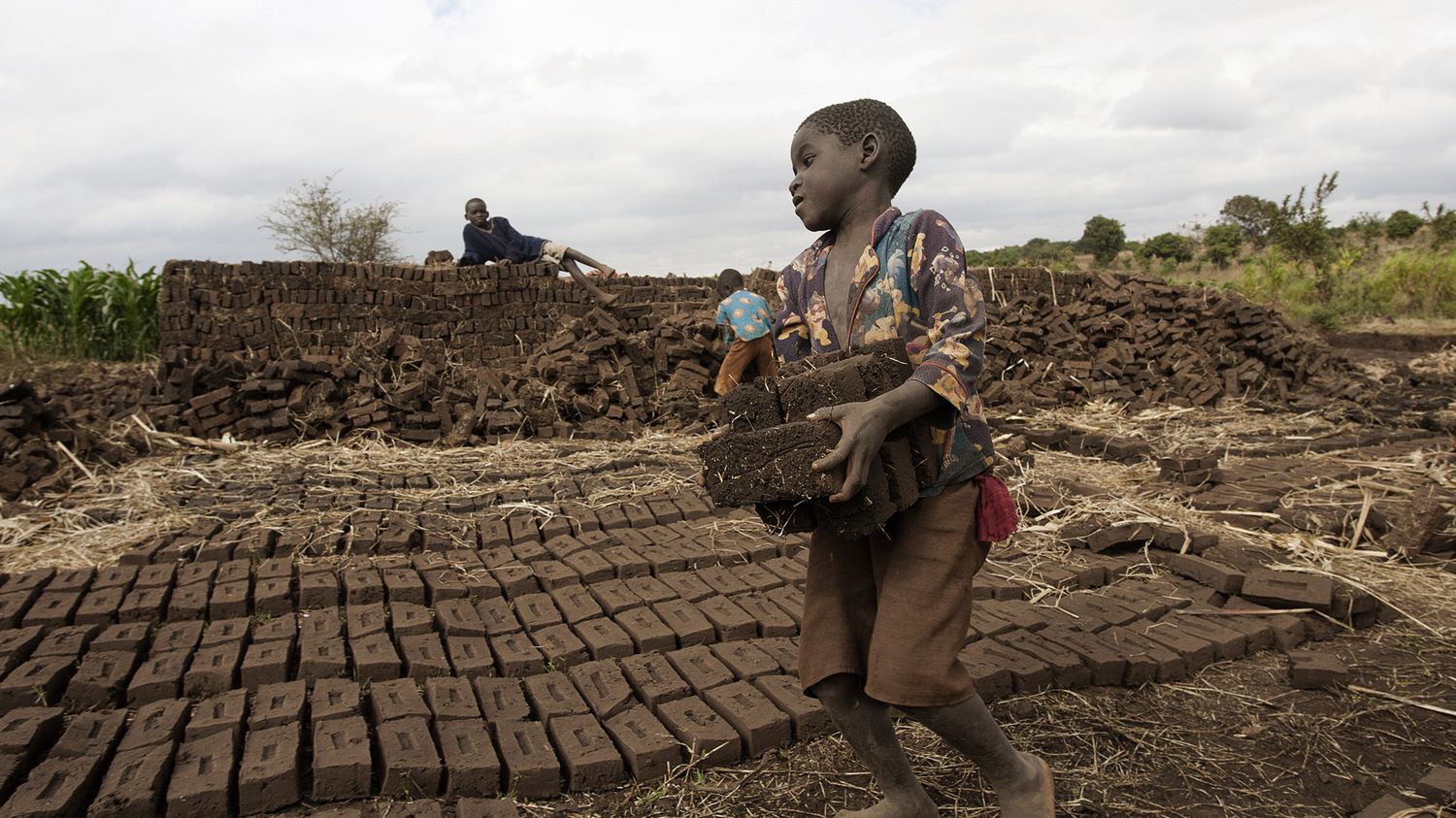 Enfance : Un rapport d’ONG tire la sonnette d’alarme