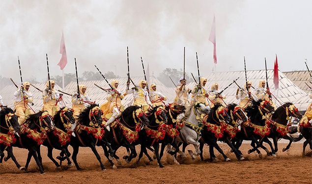 Salon du cheval d'El Jadida: La Sorba du Moqaddem Dahmane Hasnaoui remporte le Grand Prix SM le Roi Mohammed VI