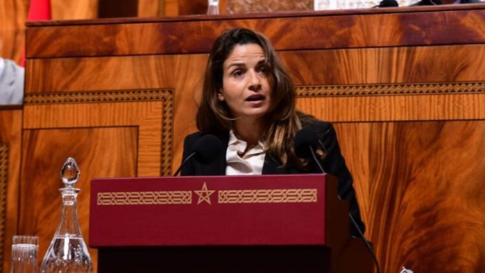 Parlement : Carburants et électrification rurale... Leila Benali se veut rassurante