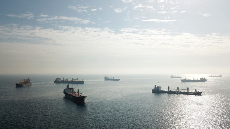 Accord céréalier : Moscou reprend sa participation après des «garanties» de Kiev