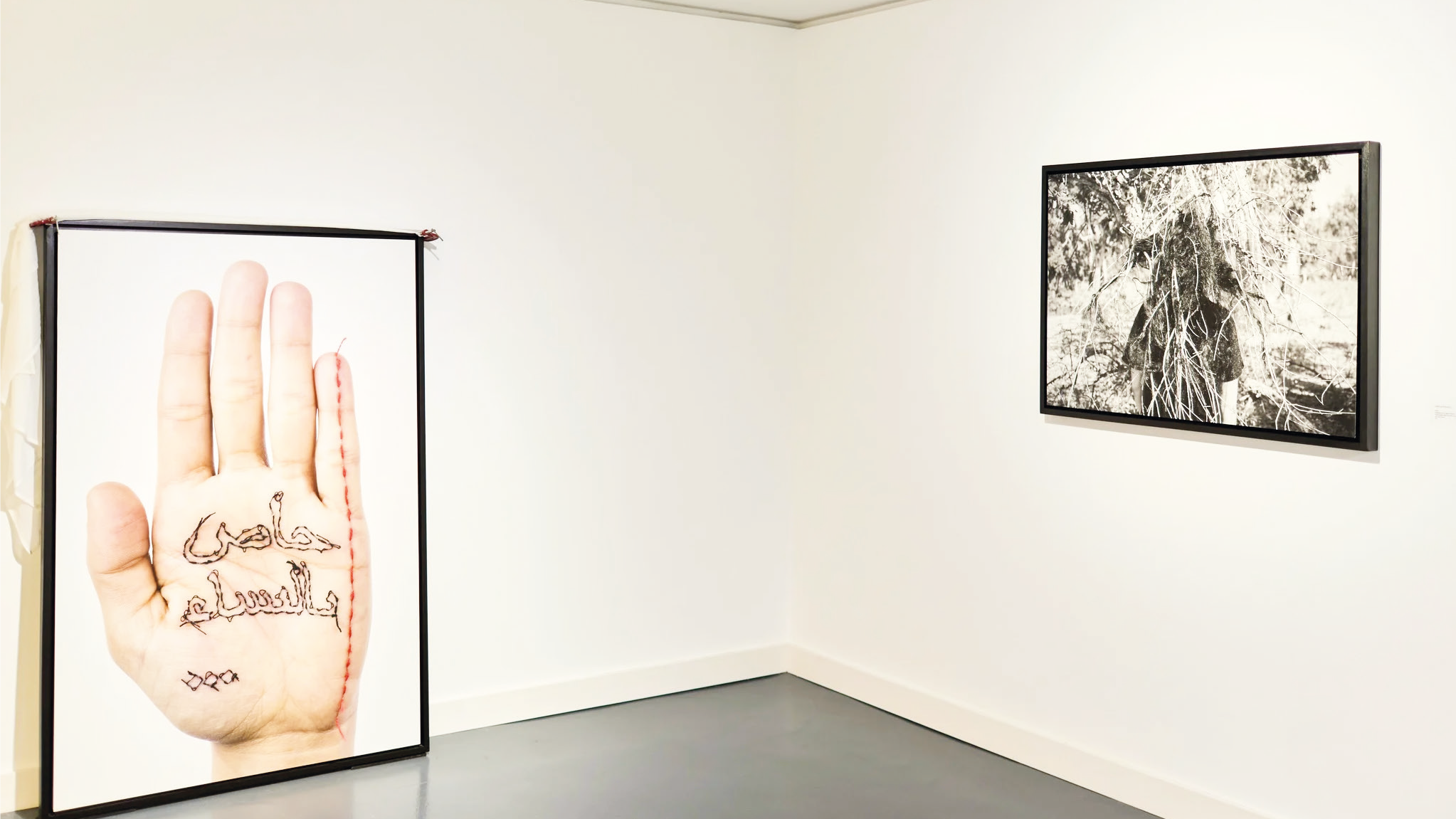 Exposition : La nature nue de Khadija El Abyad