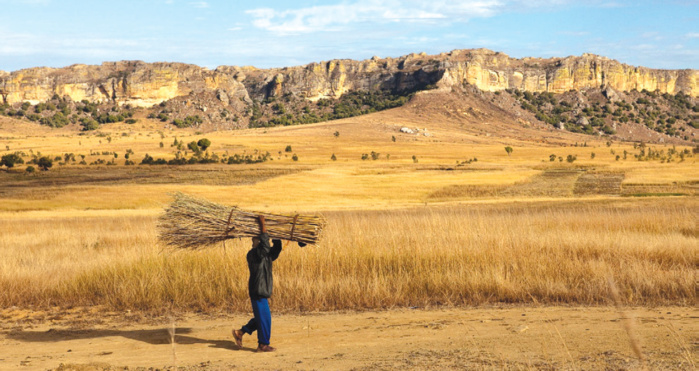 Conférence des parties de Sharm al-Sheikh : L’Afrique face aux promesses sans lendemain ?