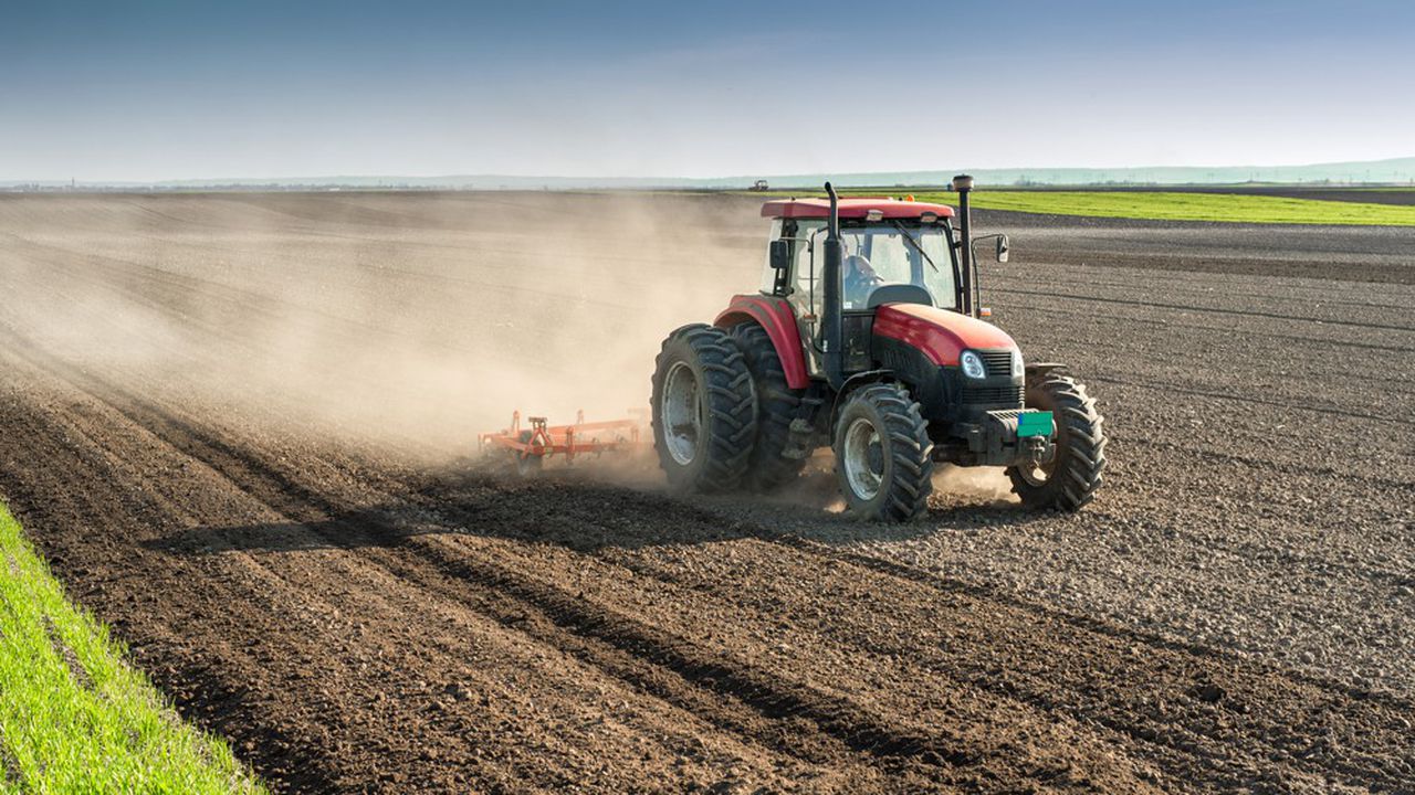 Casablanca-Settat : Lancement de la campagne agricole
