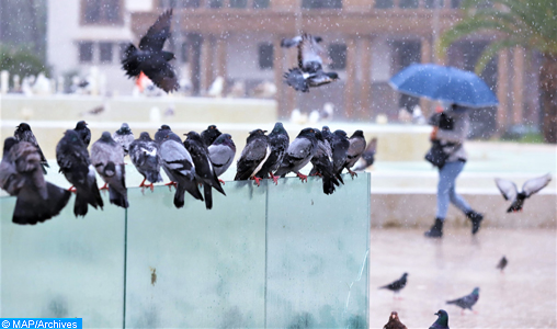 DGM : Des pluies fortes et orageuses attendues lundi et mardi