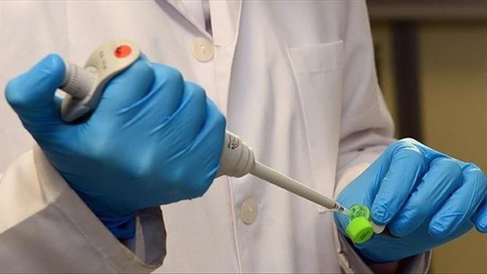 Santé : Streptocoque A, une infection qui a tué une enfant en France et 8 au Royaume-Uni