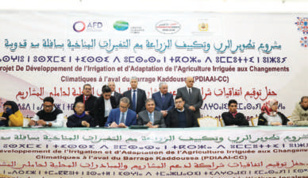 Drâa-Tafilalet / Agriculture oasienne : 61 conventions pour l’adaptation aux changements climatiques