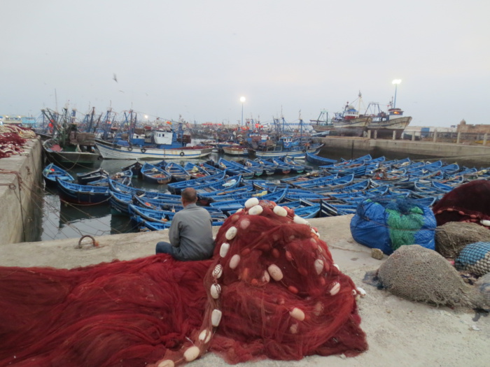 Secteur de la pêche : l'Exécutif justifie le non-octroi des aides aux professionnels