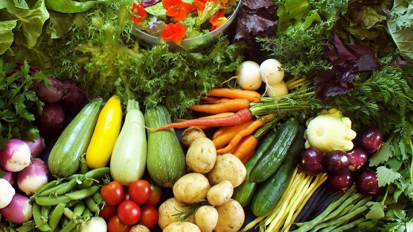 Béni Mellal-Khénifra / Cultures maraîchères : La superficie semée s'élève à 2.556 Ha