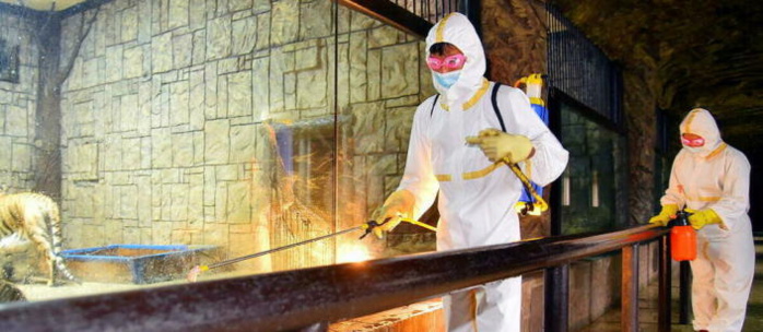 Corée du Nord : Une "maladie respiratoire" oblige Pyongyang au confinement