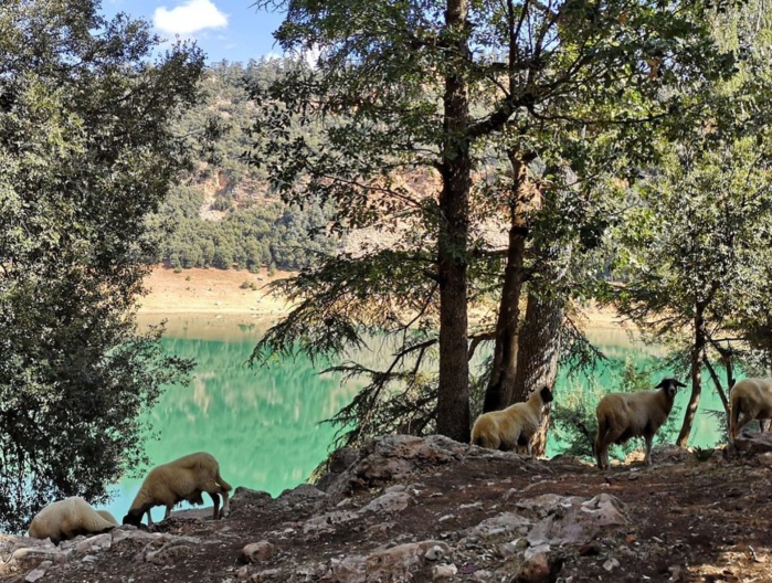 Écotourisme : Khénifra en quête d’un modèle efficace