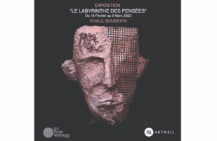 Exposition : Khalil Boubekri dévoile son labyrinthe
