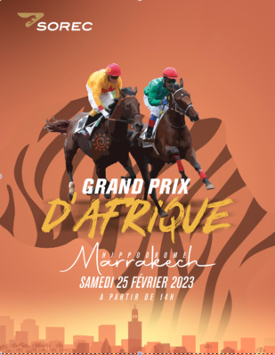 Courses de chevaux : Marrakech abrite le Grand Prix d’Afrique
