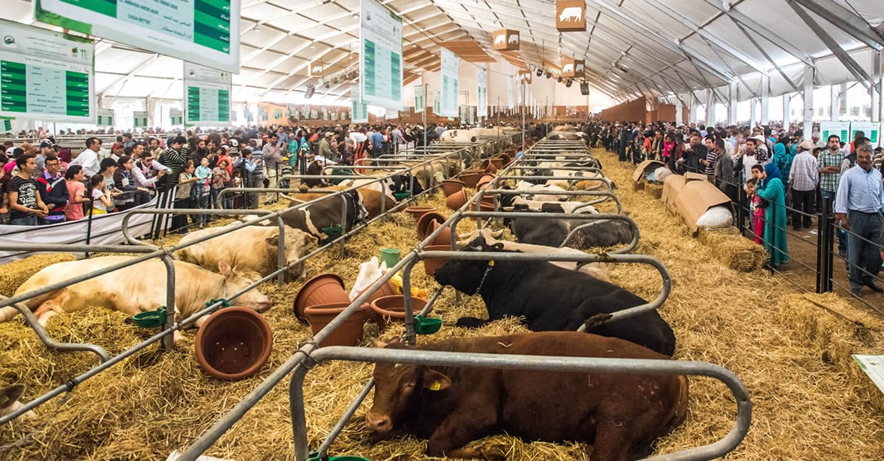 La ville Blanche abrite le SIDE