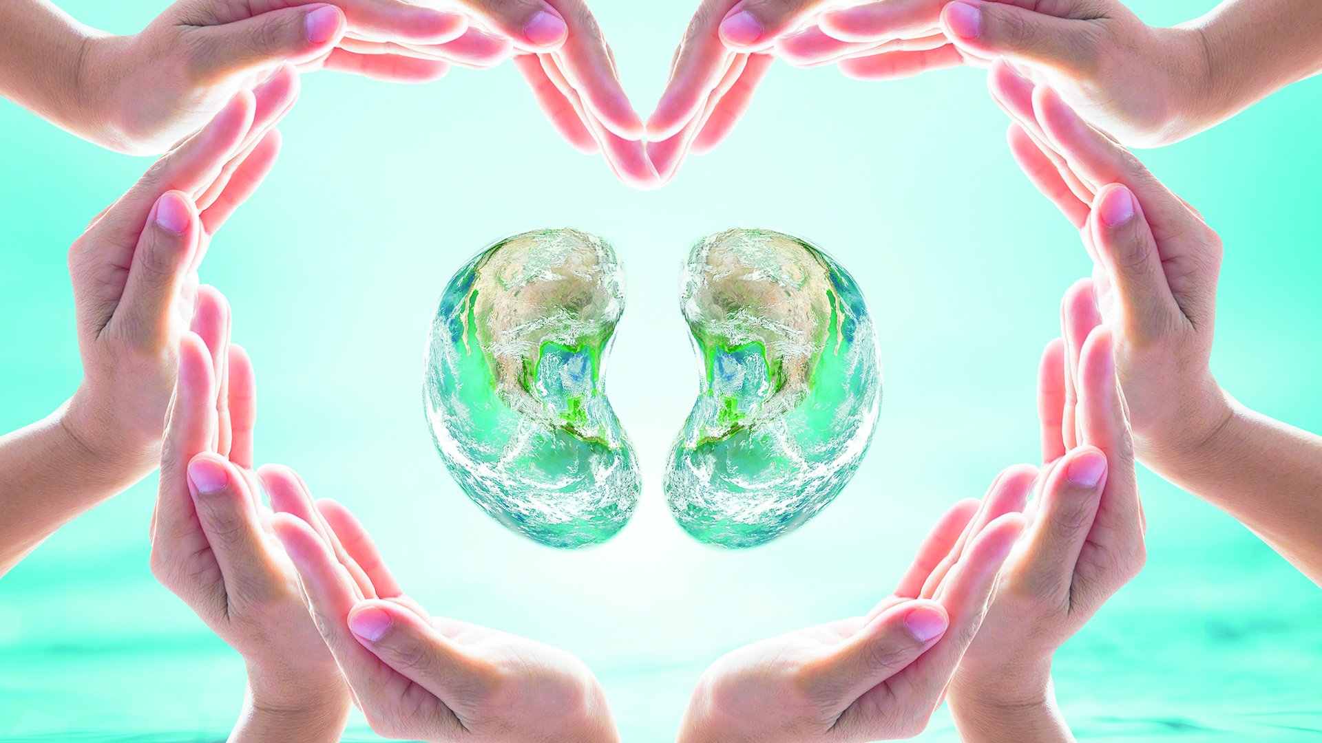 Journée mondiale du Rein : Les maladies rénales, enjeu vital de la santé publique [INTÉGRAL]