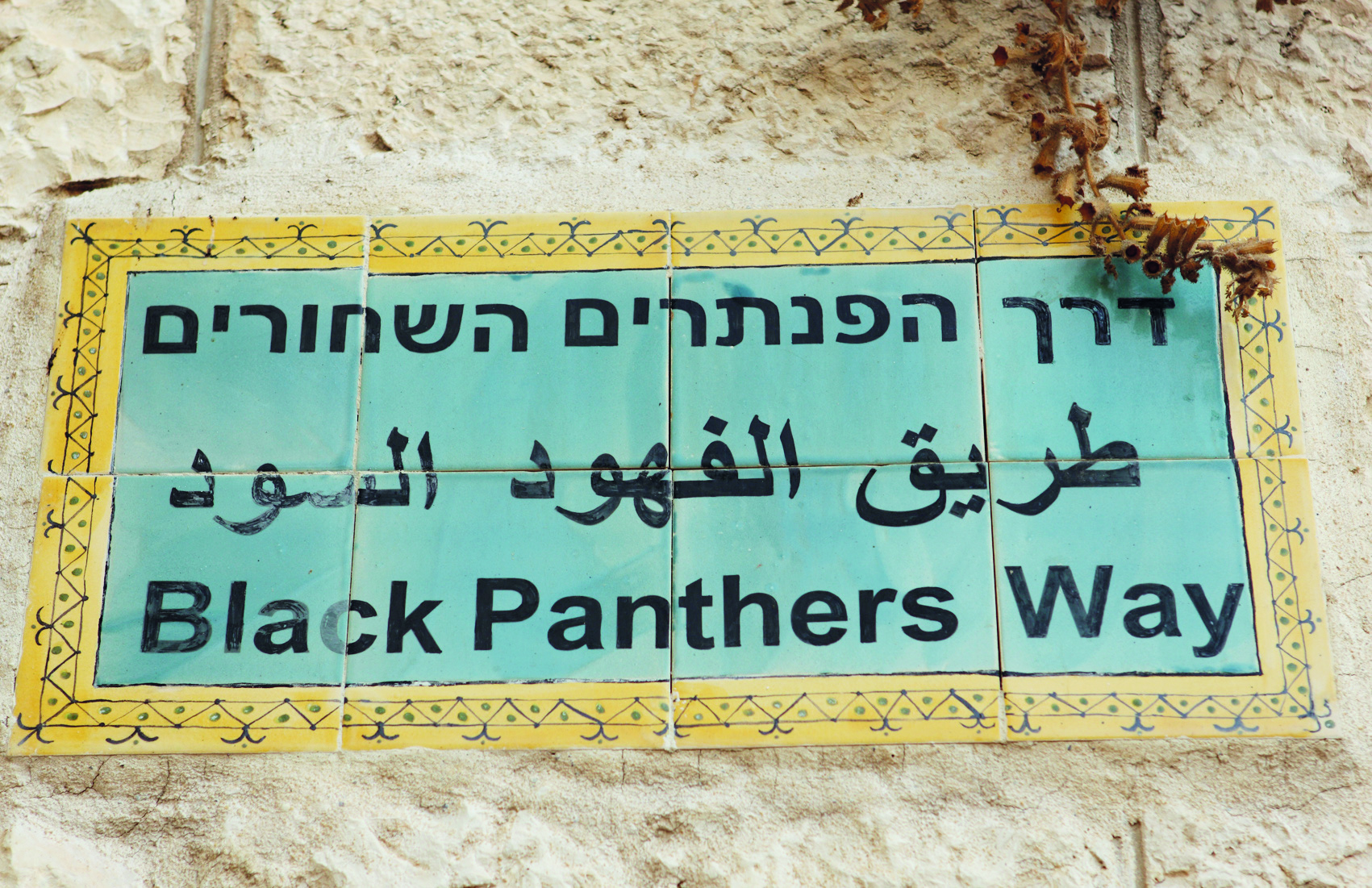 Rétro-Verso : Les Black Panthers israéliens ou l’histoire d’une révolte