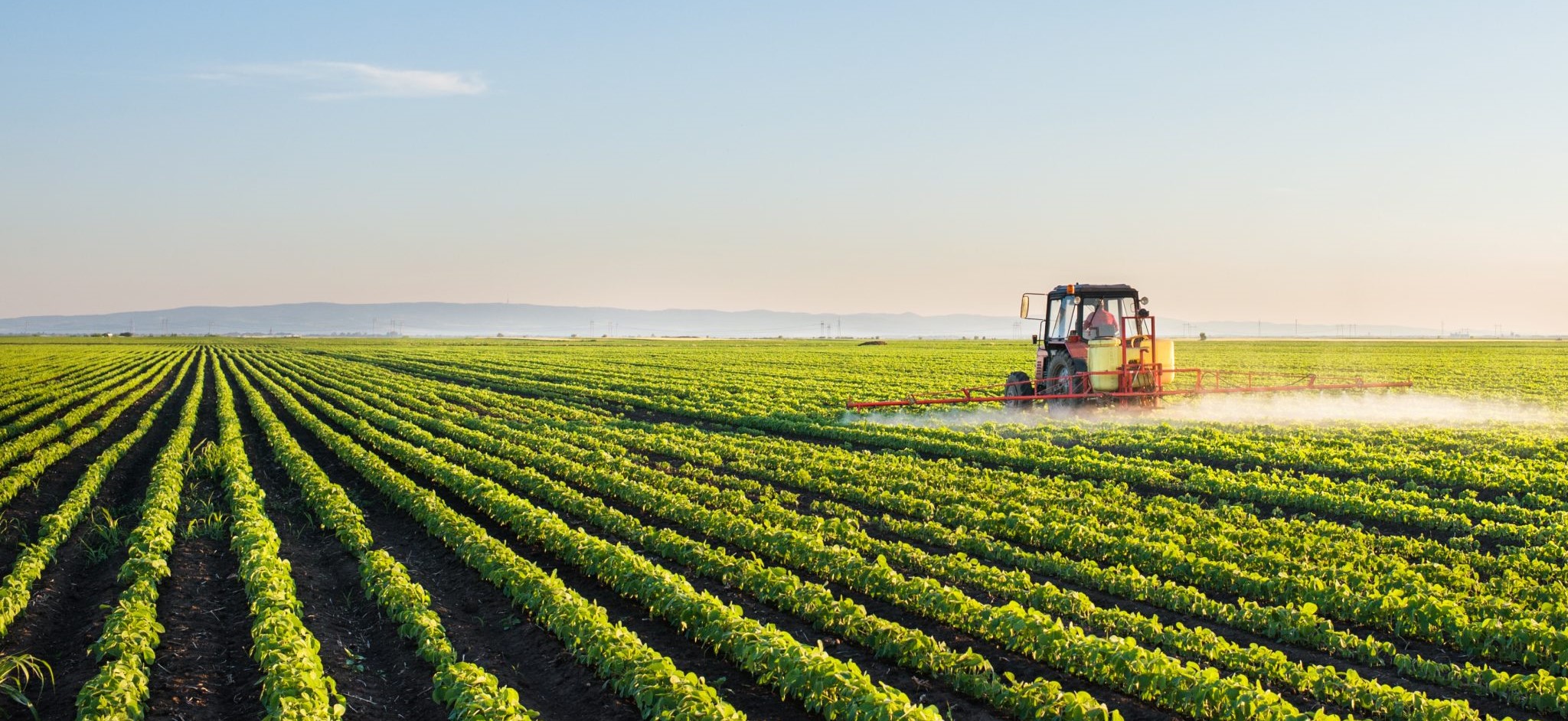 Berrechid : Les pluies de l’espoir pour les agriculteurs