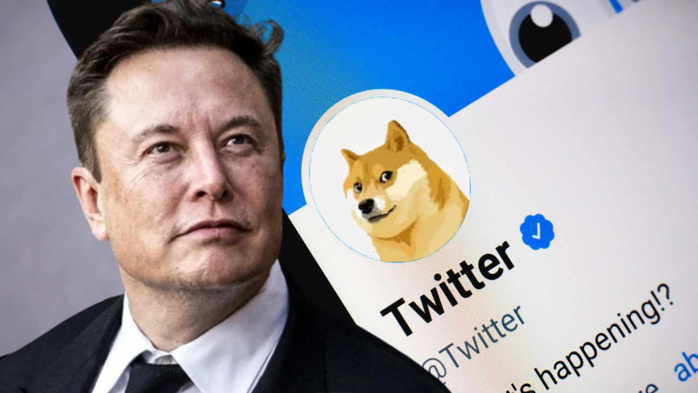 Twitter : l’oiseau bleu se métamorphose en tête de chien, le Dogecoin explose