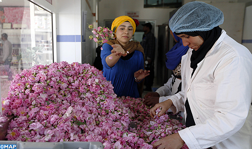 Kelâat M'Gouna: 50.000 visiteurs attendus au Salon de la rose à parfum