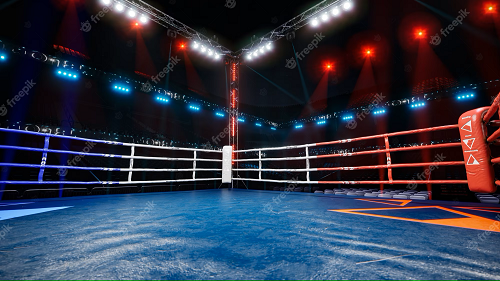 Boxe : Le Maroc prend part aux championnats du monde à Tachkent