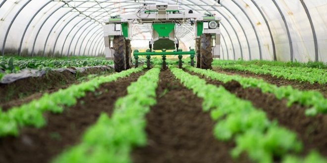 Plan Maroc Vert: L’épine dorsale de l’agriculture marocaine