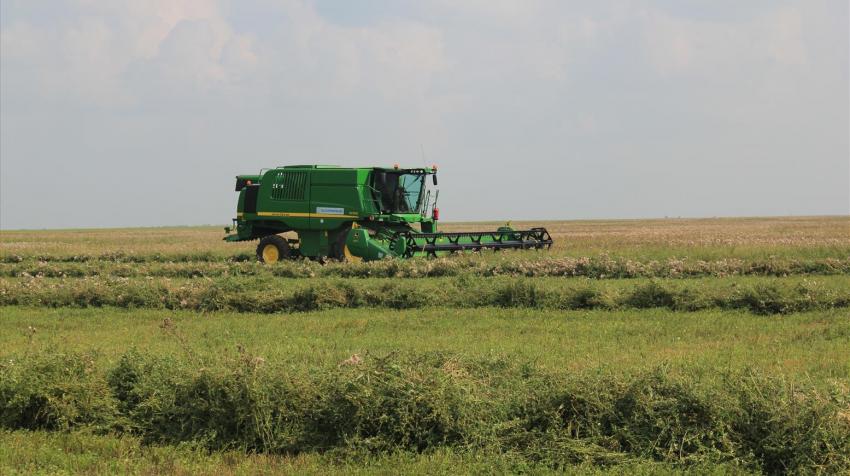 Sécurité alimentaire et innovation agricole : La stratégie gagnante du Maroc