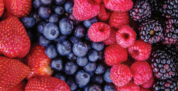 Export : La saga des fruits rouges marocains à l’international